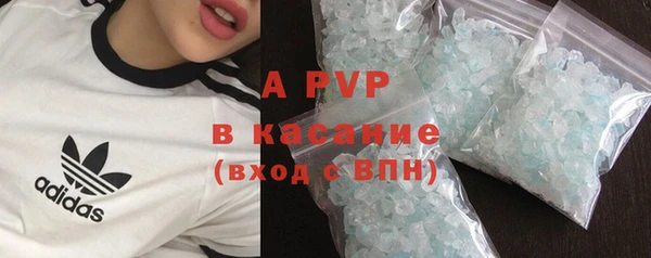 ПСИЛОЦИБИНОВЫЕ ГРИБЫ Касимов