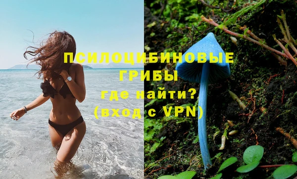 бошки Каменск-Шахтинский