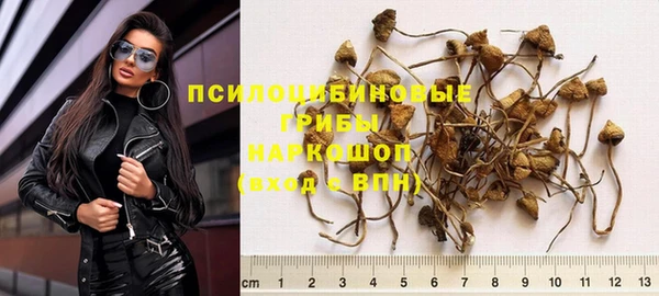 бошки Каменск-Шахтинский