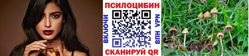 Псилоцибиновые грибы мухоморы Шебекино