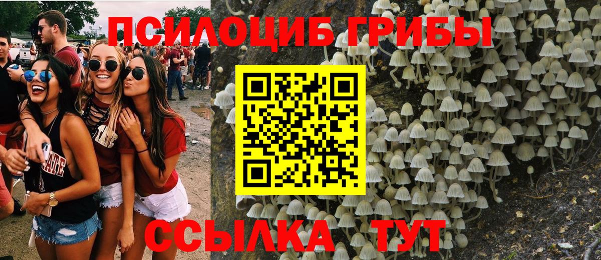 Галлюциногенные грибы Psilocybe  Вход с VPN  Шебекино  Галлюциногенные грибы Magic Shrooms 