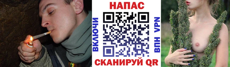 Канабис ГИДРОПОН  omg вход  Шебекино 